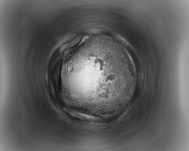 X0000086260734200704122010