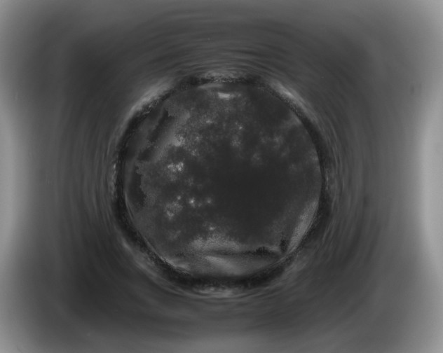 X0000086260735200704122010