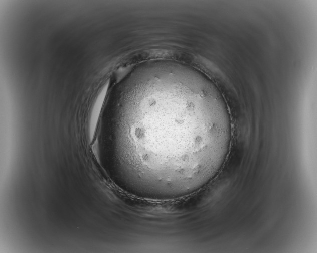 X0000086260737200704122010