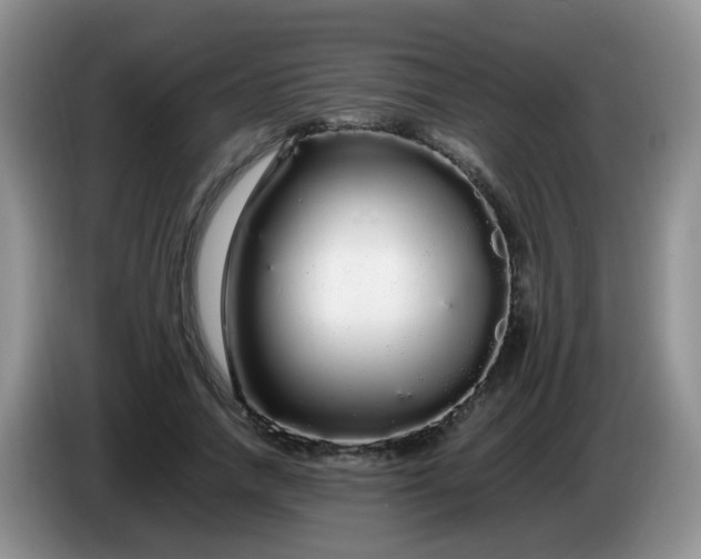 X0000086260738200704122010