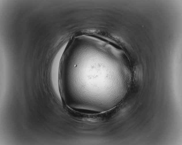 X0000086260739200704122010