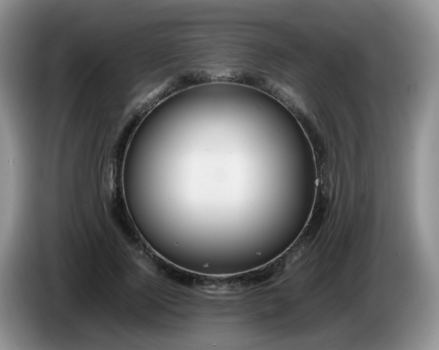 X0000086260740200704122010