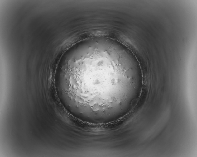 X0000086260741200704122010