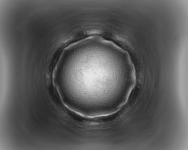X0000086260743200704122010