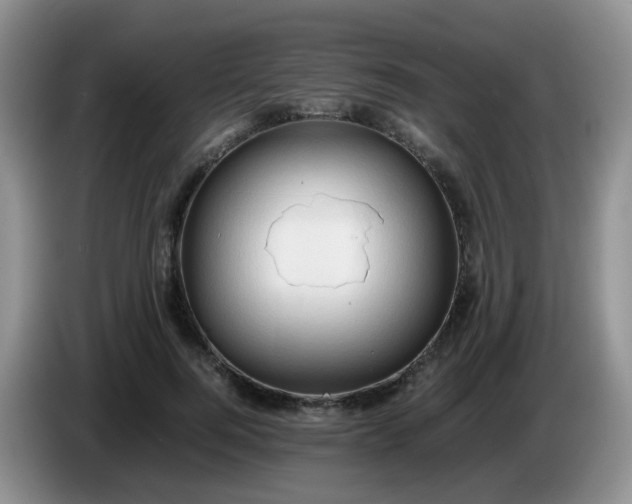 X0000086260744200704122010