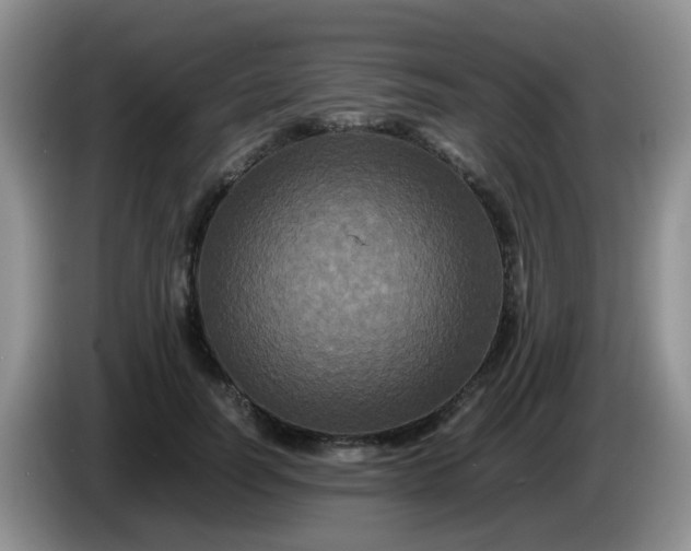 X0000086260746200704122010