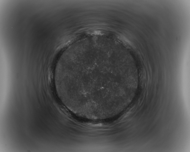 X0000086260747200704122010
