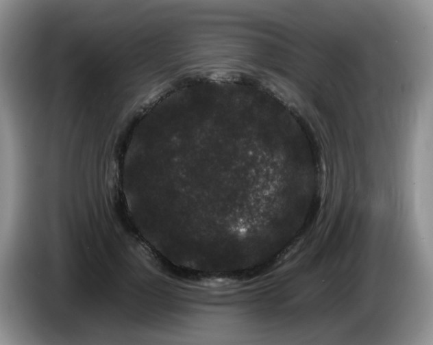 X0000086260748200704122010