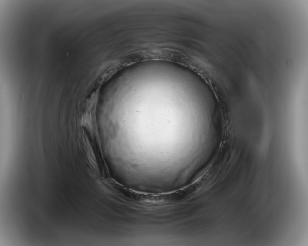 X0000086260749200704122010