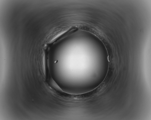 X0000086260750200704122010