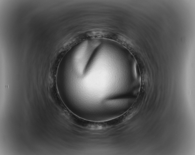 X0000086260751200704122010