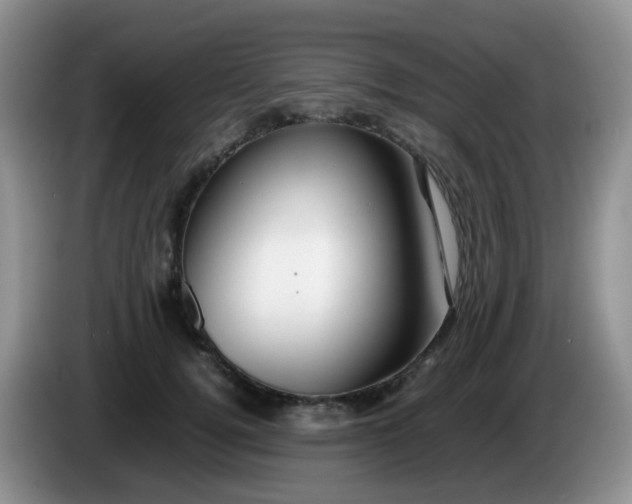X0000086260752200704122010