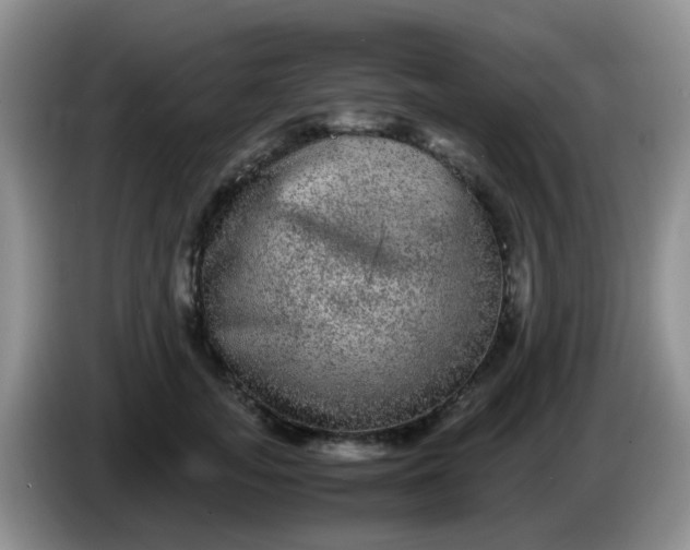 X0000086260755200704122010