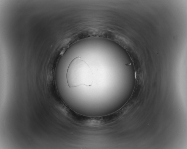 X0000086260756200704122010