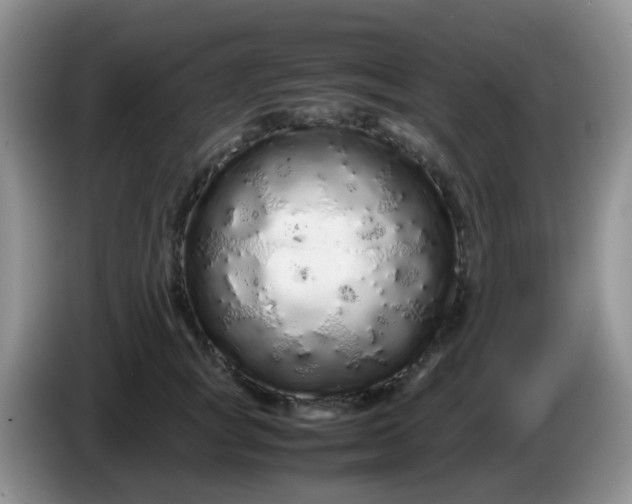 X0000086260757200704122010