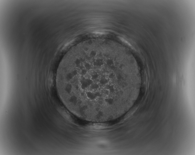 X0000086260758200704122010