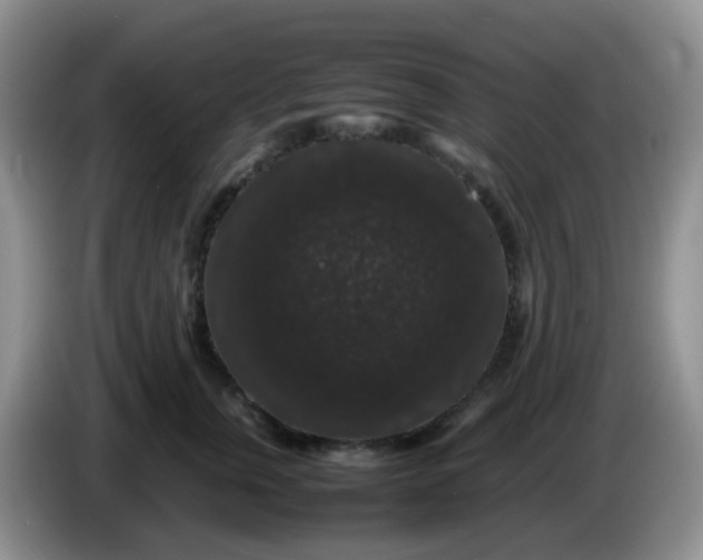 X0000086260759200704122010
