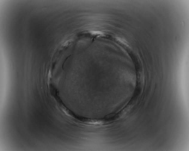 X0000086260760200704122010