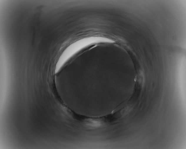 X0000086260763200704122010