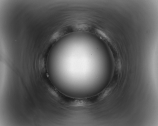 X0000086260764200704122010