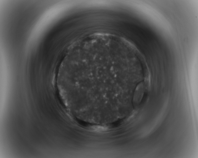 X0000086260765200704122010