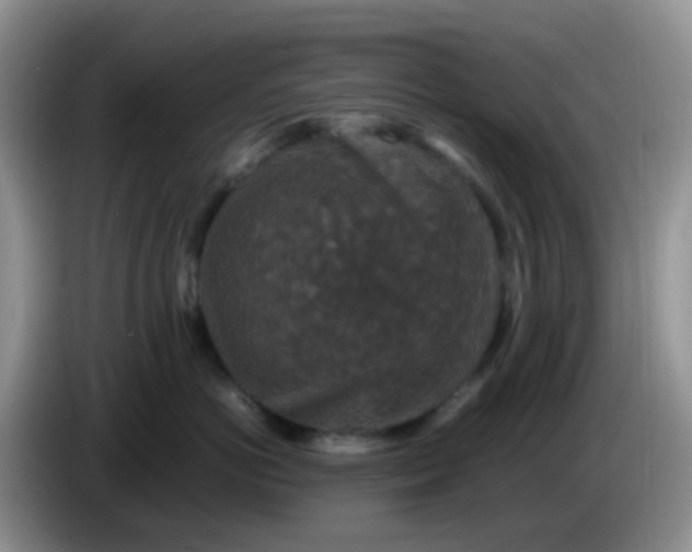 X0000086260766200704122010