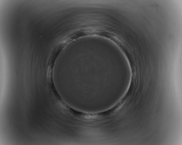 X0000086260767200704122010