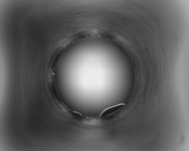 X0000086260768200704122010