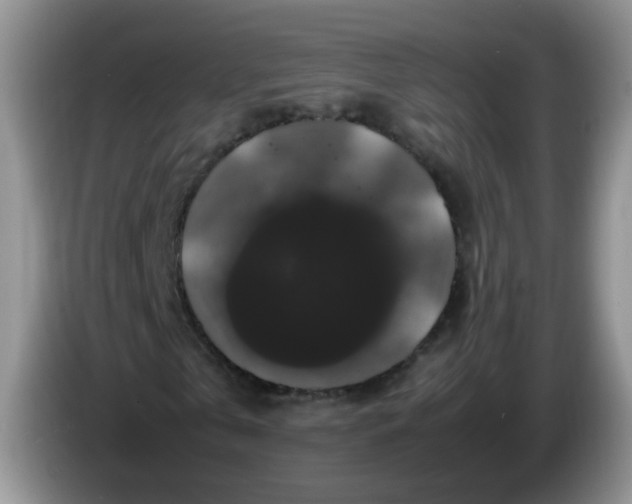 X0000086260769200704122009