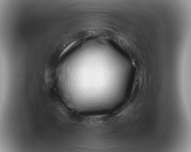 X0000086260770200704122009