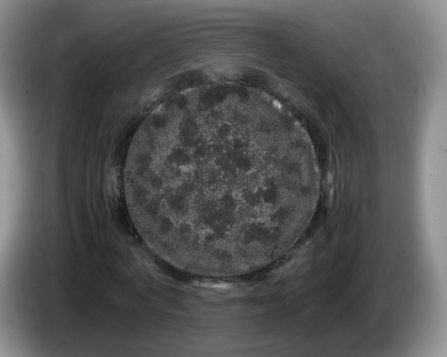 X0000086260772200704122009