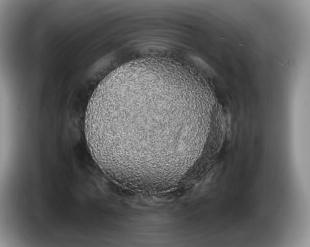 X0000086260774200704122009
