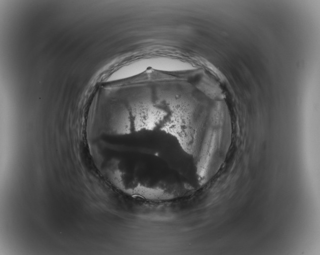 X0000086260775200704122009