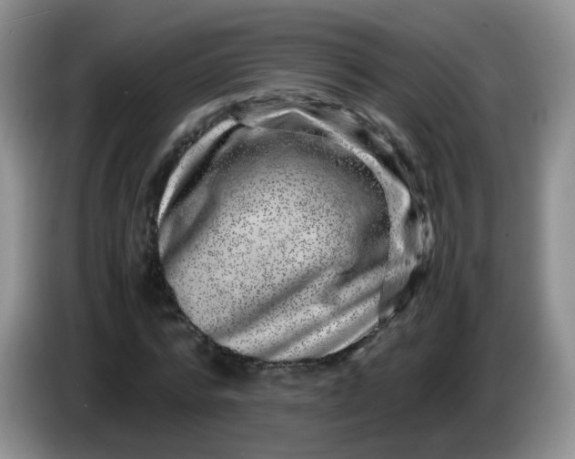 X0000086260776200704122009