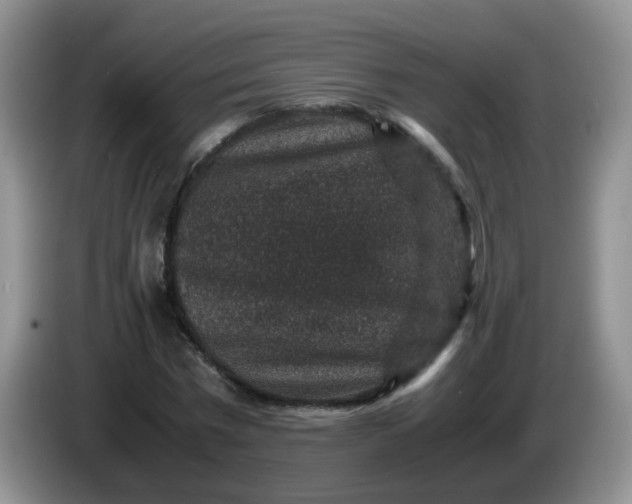 X0000086260777200704122009