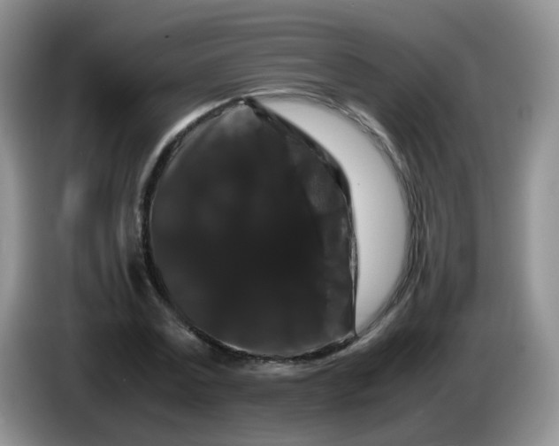 X0000086260779200704122009