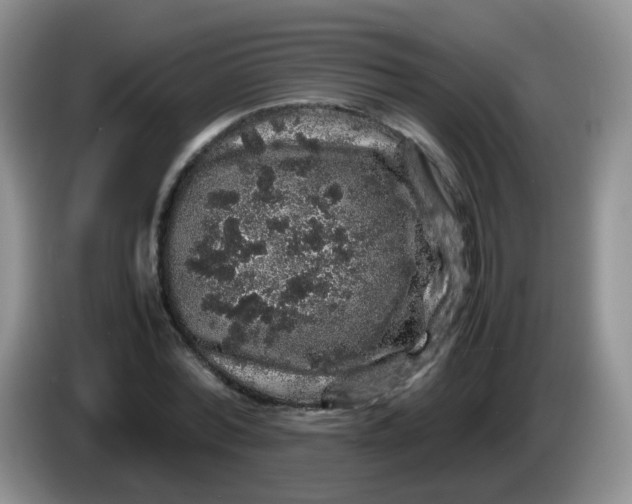 X0000086260780200704122009