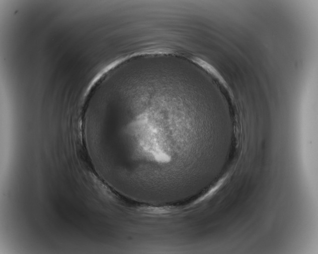 X0000086260781200704122009
