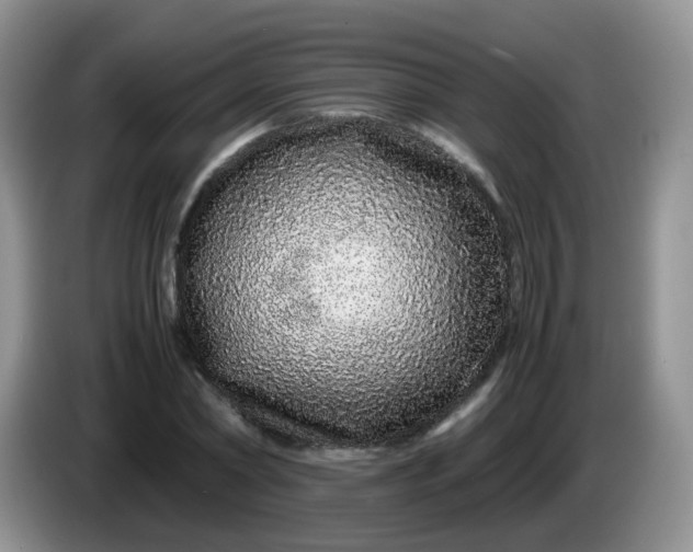 X0000086260782200704122009