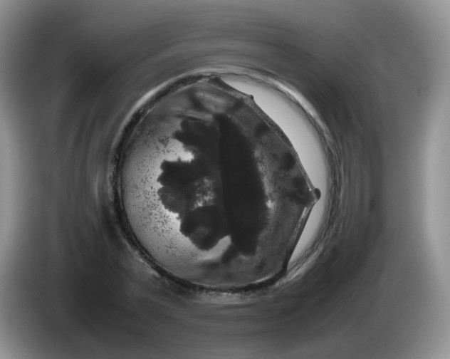 X0000086260783200704122009