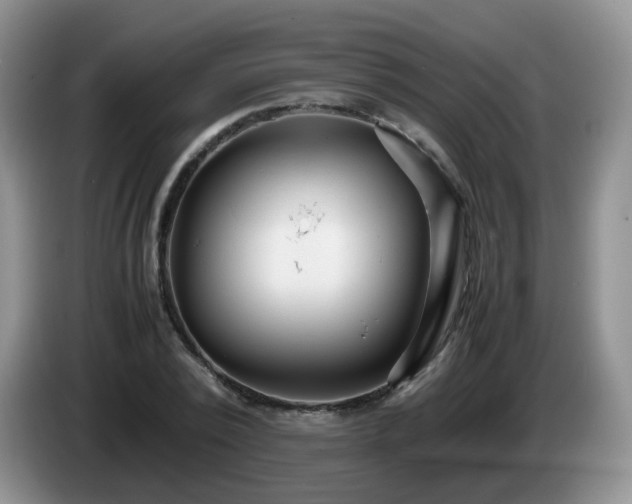 X0000086260784200704122009