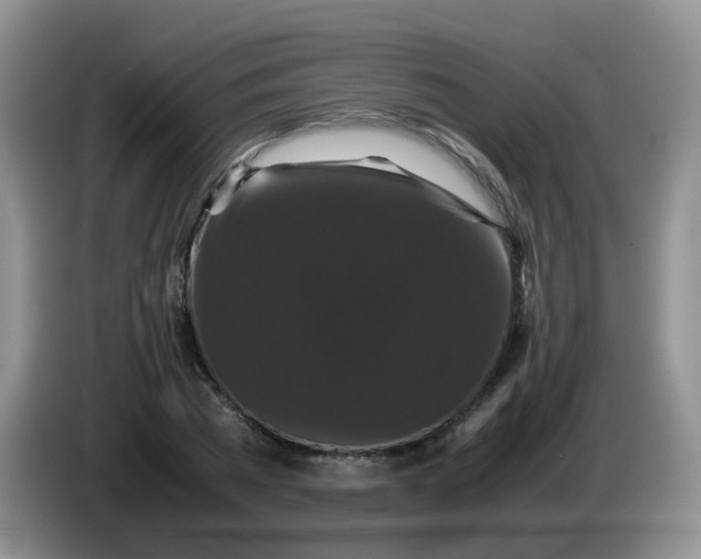 X0000086260785200704122009