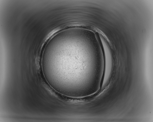 X0000086260786200704122009