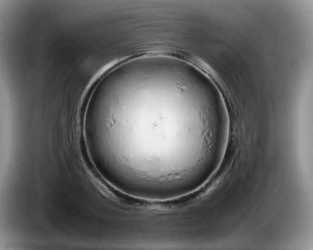 X0000086260787200704122009