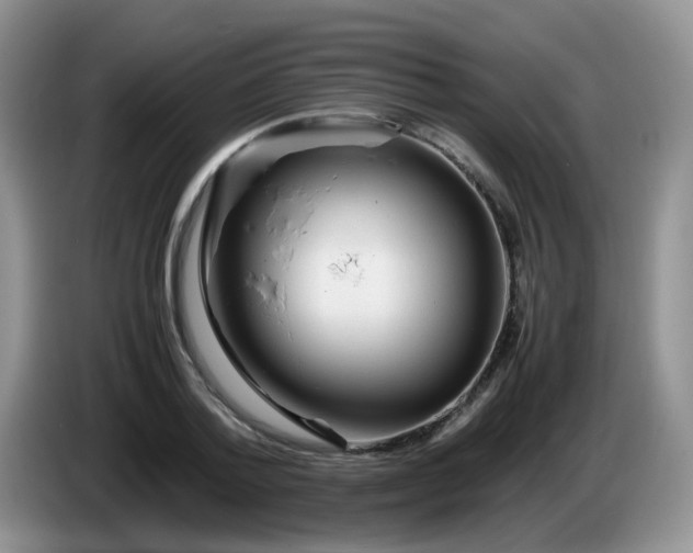 X0000086260788200704122009