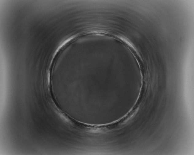 X0000086260790200704122009