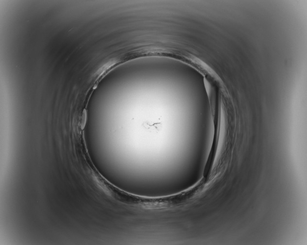 X0000086260793200704122009