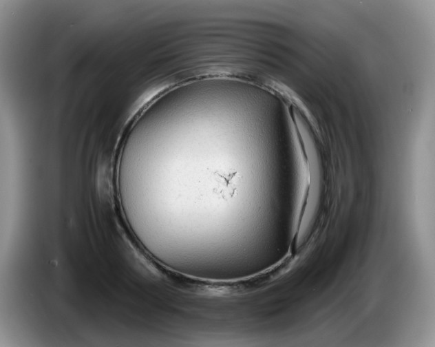 X0000086260794200704122009