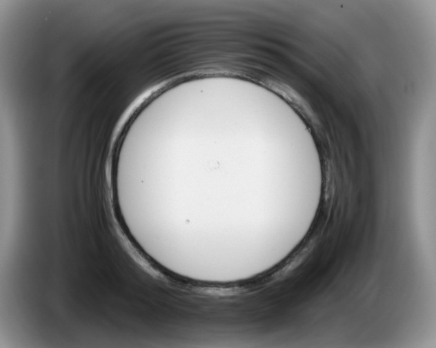 X0000086260796200704122009