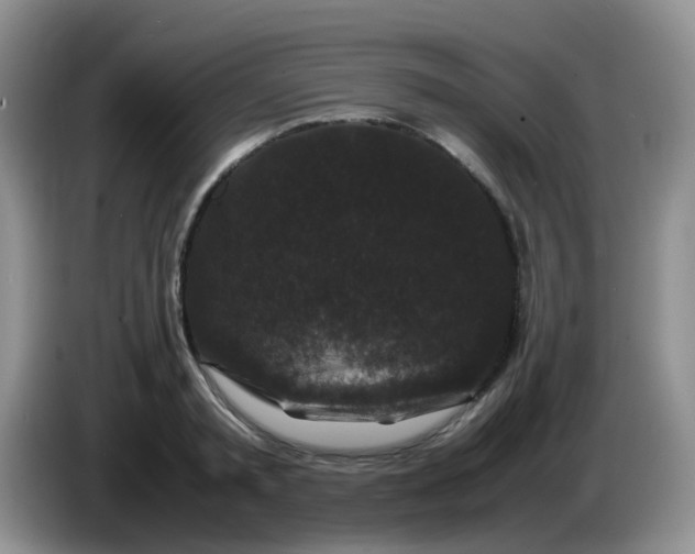 X0000086260797200704122009